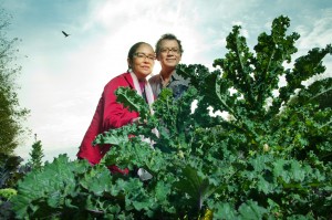 Indigenous Garden at the UBC Farm