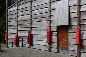 Red dresses hang at the First Nations Longhouse in memory of missing and murdered Indigenous women and girls. This photograph was taken at the Missing and Murdered Indigenous Women: An Epidemic Crossing the Medicine Line Conference , in 2019. Credit: Kevin Ward/UBC